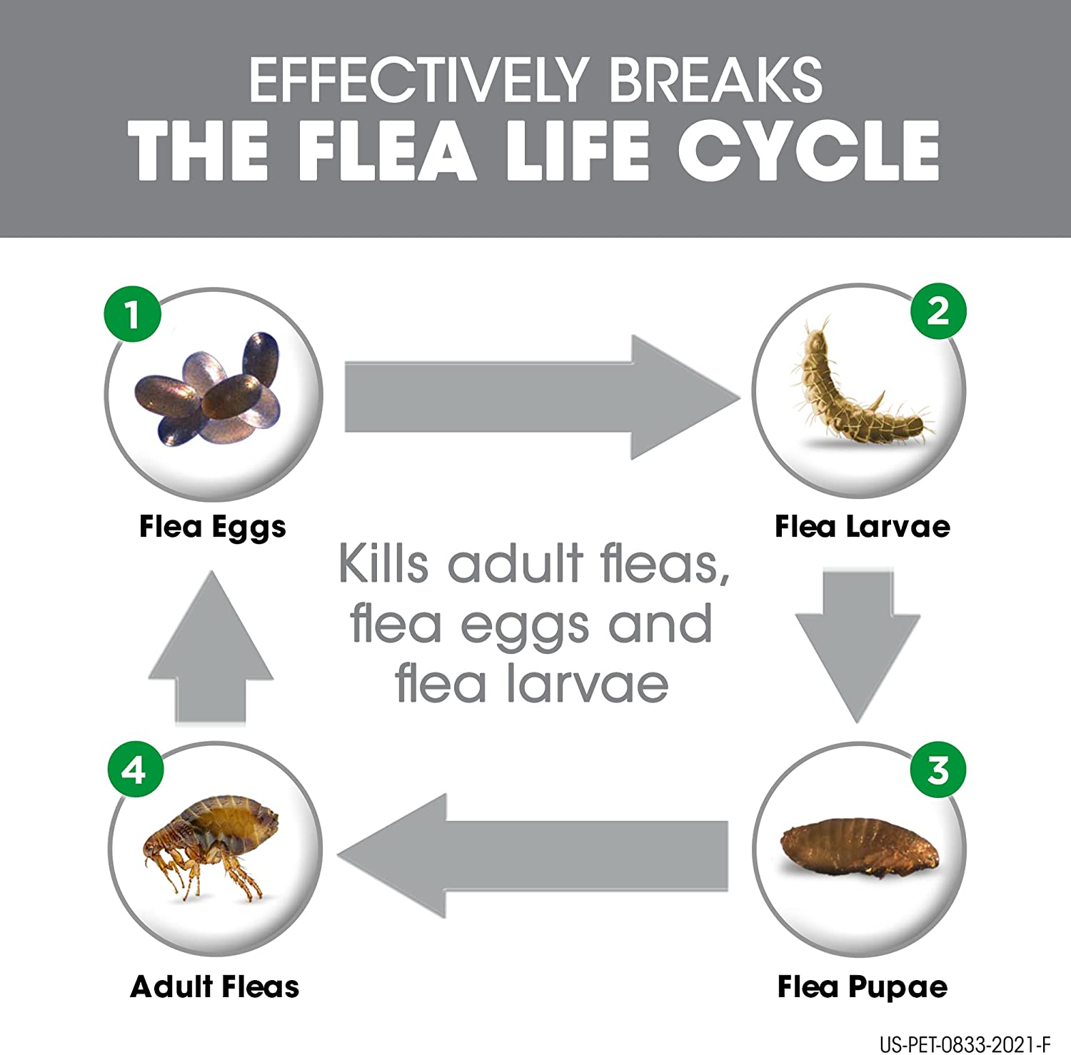 71DchC5QKbL._AC_SL1500_