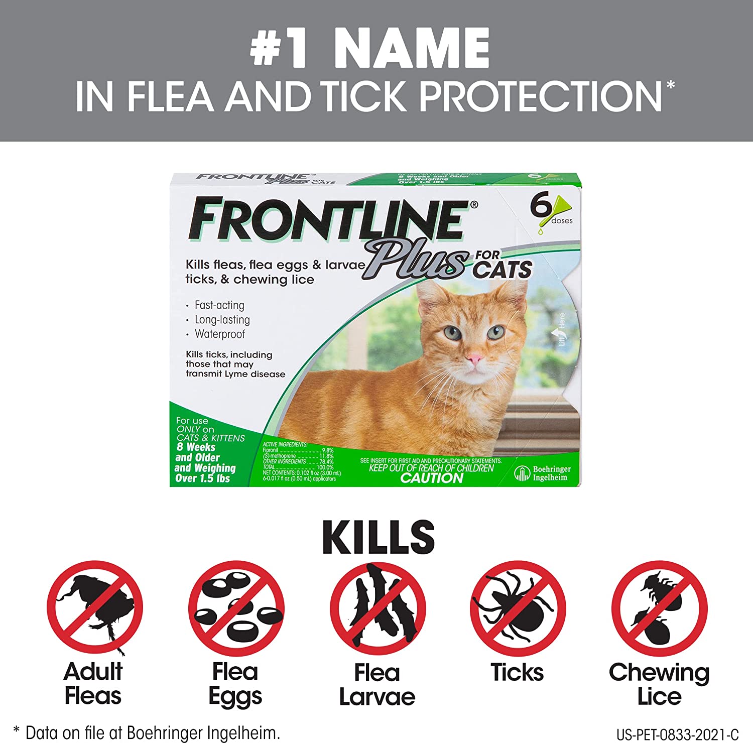 81JQPZHLSGL._AC_SL1500_